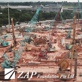 zap foundation woodlands project