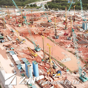 zap foundation woodlands project