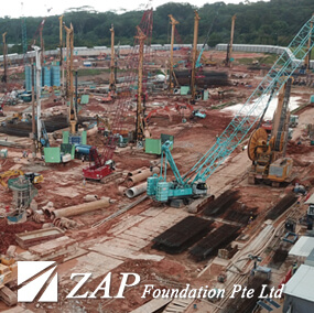 zap foundation woodlands project